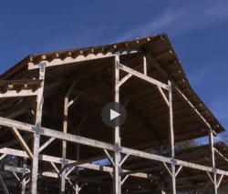 Appletree Hill Organic Farm photo 23